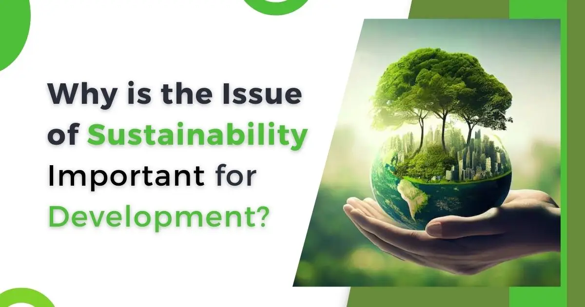 Why_is_the_Issue_of_Sustainability_Important_for_Development_Corpseed.webp